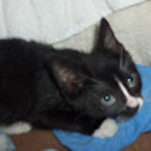 Meet your Posher, Leanne